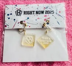 チャン・グンソク　「TEAM H RIGHT NOW 2025」 イヤリング