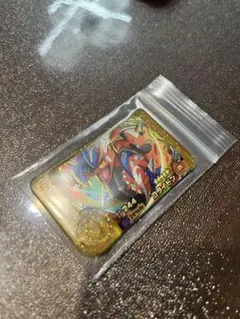 ポケモンフレンダ　コライドン　レガシーピック