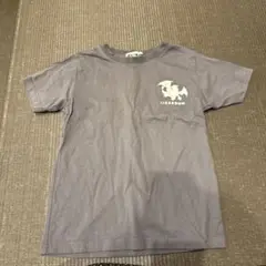 Item thumbnail for item 61702f32-003a-4061-abb3-9832d7b8b91f