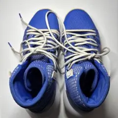 Item thumbnail for item 805f5a83-c0cd-445f-b149-fbb2f1b67415