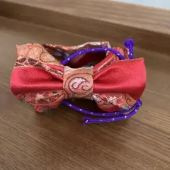 ジェニーちゃん　帯