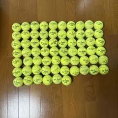Item thumbnail for item 1644d729-2f92-46cf-9612-a170bd8c3330