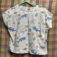 アカチャンホンポ　Tシャツ 80