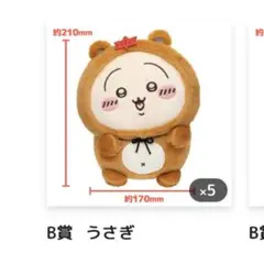 ちいかわ たぬきだもん くじ B賞うさぎ