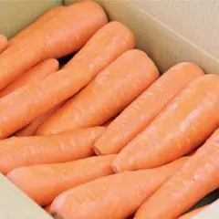 高知県産朝採り人参無農薬、即購入OK