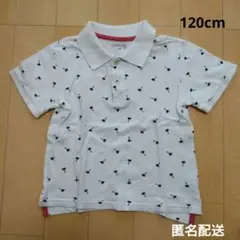 CHEROKEE 120cm ポロシャツ　男の子