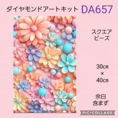DA657★ダイヤモンドアートキット★スクエアビーズ