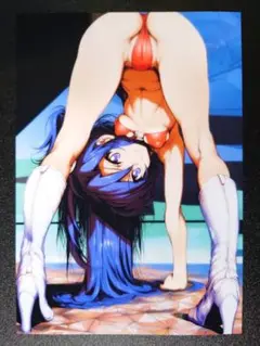 戦姫絶唱シンフォギア　風鳴翼　D11　写真　イラスト　ブロマイド　2L判