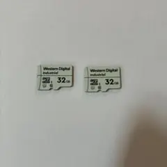 Western Digital Industrial 32GB MicroSD