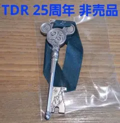 東京ディズニーリゾート 25周年 限定 非売品 ドリームキー ワインメダル