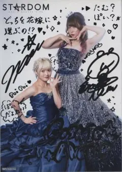 10枚　A4ポートレート　STARDOM　中野たむ　管理番号F10 Amazon.co.jp: STARDOM 中野たむ ポートレート : おもちゃ