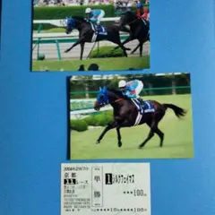 第97回　京都記念 シルクフェイマスの単勝当たり馬券　写真 ⑫