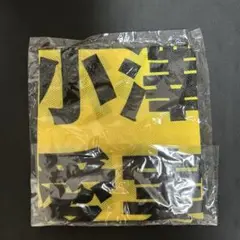 【新品未使用】≒JOY小澤愛実 ビブス2024