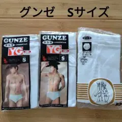 GUNZE YG ブリーフ下着 S ホワイト　セミビキニ　スタンダード