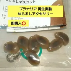プラナリアの再生実験　めじるしマスコット　ガチャ　プラナリアb3