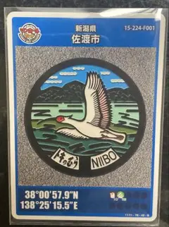 新潟 佐渡 新穂 マンホールカード 第6弾 初版 トキ 朱鷺 初期ロット