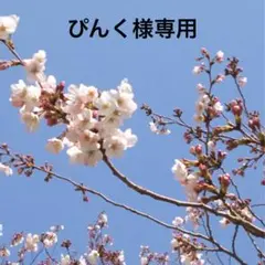 ぴんく様専用