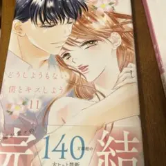 どうしようもない僕とキスしよう 11巻