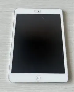 iPad mini2 本体