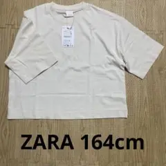 ZARA 半袖Tシャツ 13-14歳 164cm 新品・未使用