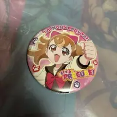 プリキュア トゥインクル缶バッジ 13 Shining！ 犬飼こむぎ