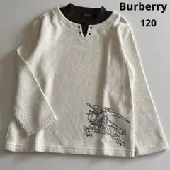 Item thumbnail for item 06f88f53-a61c-498b-9e3d-e4e2ea184034