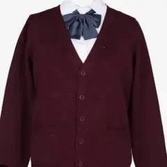 Item thumbnail for item cdbb9da0-5def-48d6-b551-75a27e4ed71d