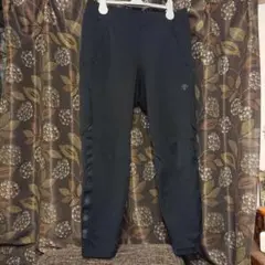 Item thumbnail for item d0195a56-a9a0-4828-8881-dbee13ad9ded