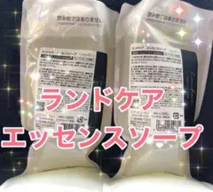 ランドケアエッセンスソープ600ml詰め替え2個セット リニューアル