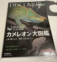 カメレオン大図鑑　DISCOVERY