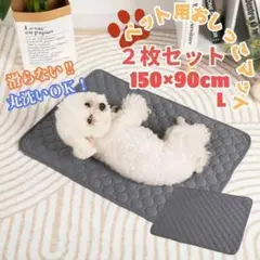 Item thumbnail for item a20939fc-6af4-4b75-bbe8-4c561c7a90dd