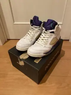 NIKE AIR JORDAN 5 RETRO "GRAPE" (2013)