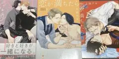 恋が満ちたら 小冊子付き初回限定版