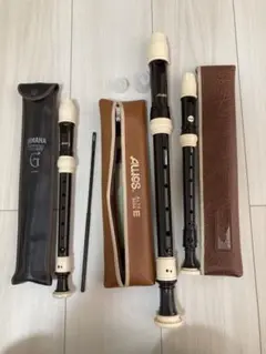 Soprano リコーダー 3本 ケース付