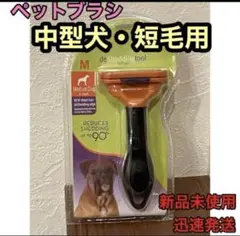 Item thumbnail for item 5cfde583-a269-4d7e-b9ee-efb86d16764d