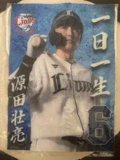 源田壮亮 ファブリックポスター ガチャ