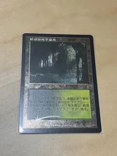 新緑の地下墓地 旧枠 ロシア語 爆買い ロシア語《新緑の地下墓地/Verdant Catacombs》[ZEN