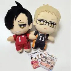 ハイキュー!! ともぬい 黒尾 月島