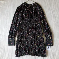 Item thumbnail for item 0973e999-5ac2-4a43-bd0f-724b90a9ed33