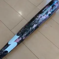 Item thumbnail for item d6472288-837c-4dc0-9514-1a4c74ea484b