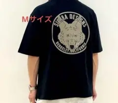 シエラデザイン　Tシャツ