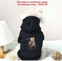 Item thumbnail for item 46e5627c-cb89-4f5d-bdb8-7ba77ee9ceee