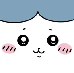 胡 様専用