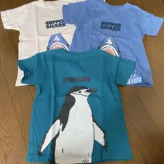 2025年最新】名古屋港水族館 tシャツの人気アイテム - メルカリ