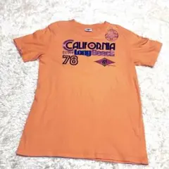 bear ベアー　surf tシャツ