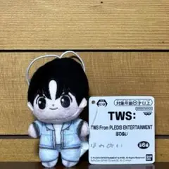 TWS From PLEDIS ENTERTAINMENT　ほわぬい ハンジン