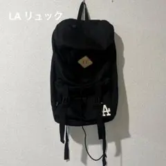 WILDERNESS EXPERIENCE LAロゴリュックサック・バックパック
