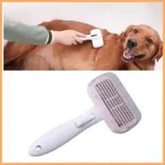 Item thumbnail for item 365cbdf7-e889-4a8e-ba16-8792350d4e2f
