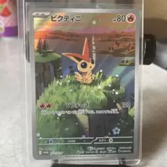 ビクティニ&コイキング ポケモンカードセット