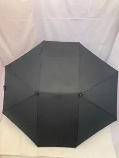 Item thumbnail for item 07f8dfdd-1b12-4e8e-a7aa-ff39e0dde16a